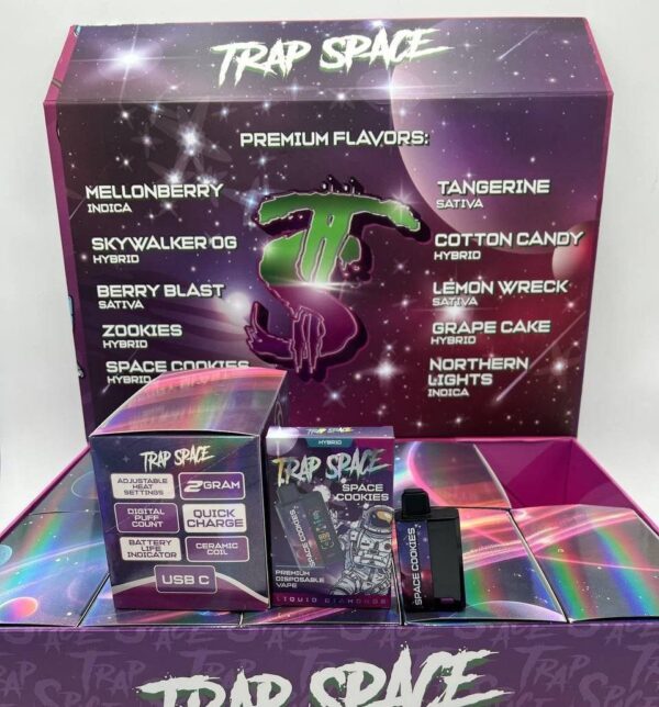 TRAP SPACE 2G DISPOSABLE 